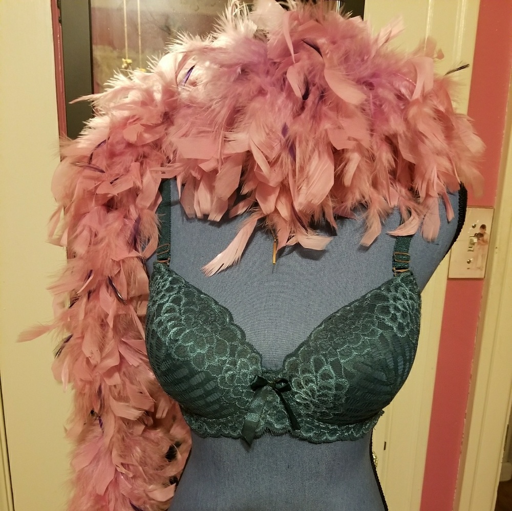 1 padded bra NWOT
